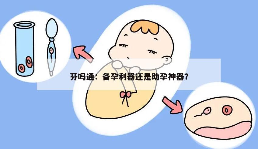 芬吗通：备孕利器还是助孕神器？