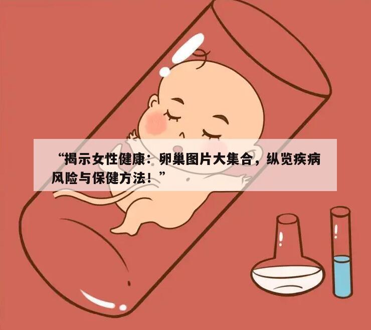 “揭示女性健康：卵巢图片大集合，纵览疾病风险与保健方法！”