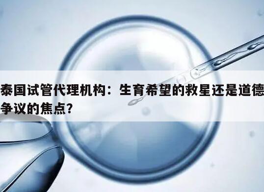 泰国试管代理机构：生育希望的救星还是道德争议的焦点？