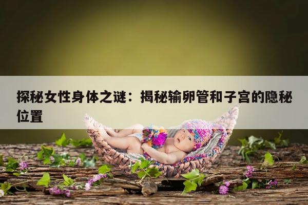 探秘女性身体之谜：揭秘输卵管和子宫的隐秘位置