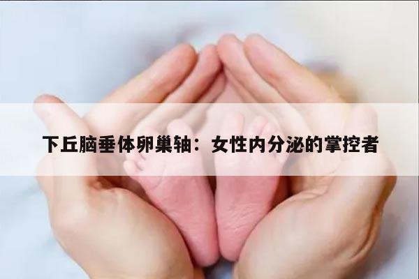 下丘脑垂体卵巢轴：女性内分泌的掌控者