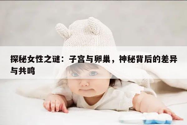 探秘女性之谜：子宫与卵巢，神秘背后的差异与共鸣