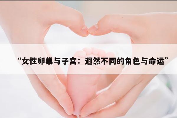 “女性卵巢与子宫：迥然不同的角色与命运”