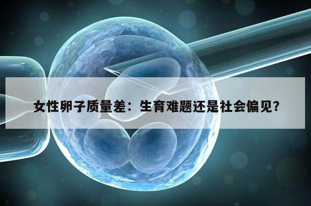 女性卵子质量差：生育难题还是社会偏见？