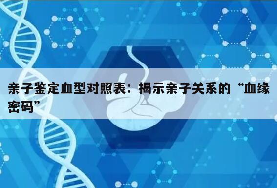 亲子鉴定血型对照表：揭示亲子关系的“血缘密码”