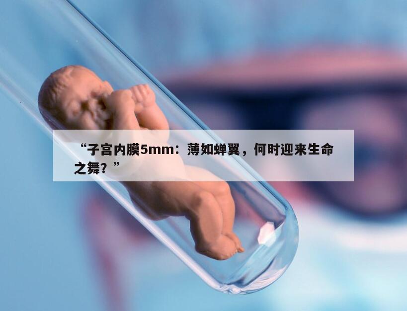 “子宫内膜5mm：薄如蝉翼，何时迎来生命之舞？”