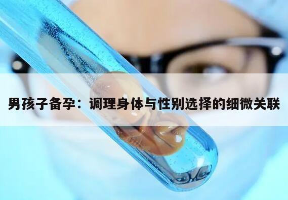 男孩子备孕：调理身体与性别选择的细微关联