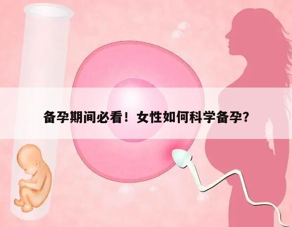 备孕期间必看！女性如何科学备孕？