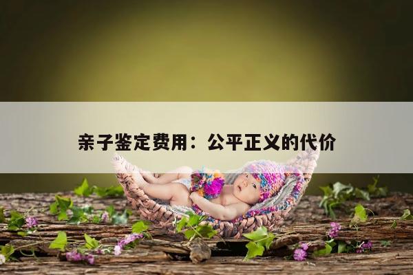 亲子鉴定费用：公平正义的代价