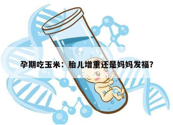 孕期吃玉米：胎儿增重还是妈妈发福？