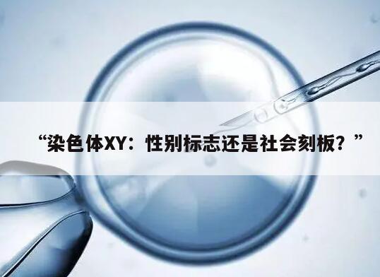 “染色体XY：性别标志还是社会刻板？”