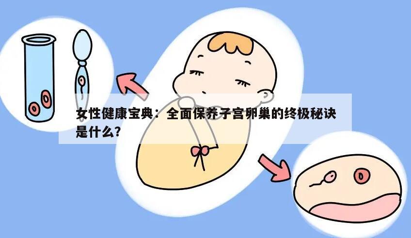 女性健康宝典：全面保养子宫卵巢的终极秘诀是什么？