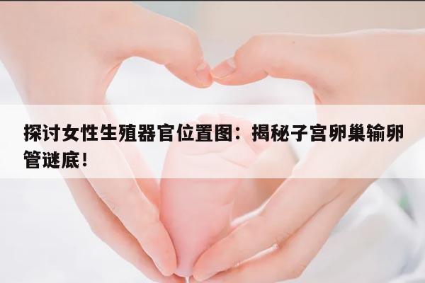 探讨女性生殖器官位置图：揭秘子宫卵巢输卵管谜底！