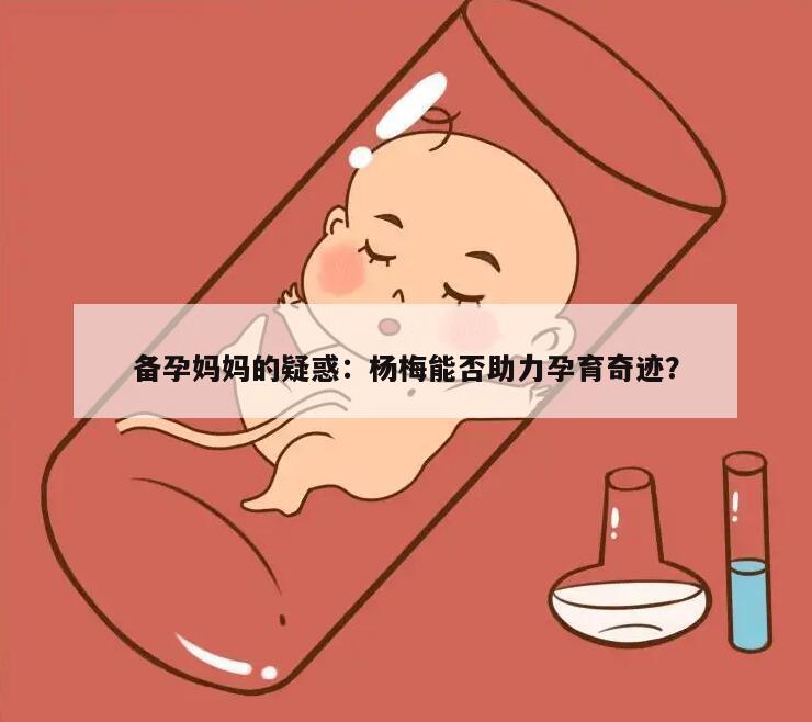 备孕妈妈的疑惑：杨梅能否助力孕育奇迹？