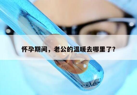 怀孕期间，老公的温暖去哪里了？