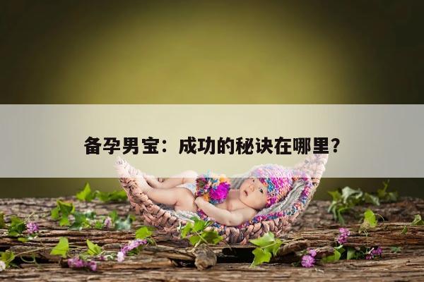 备孕男宝：成功的秘诀在哪里？