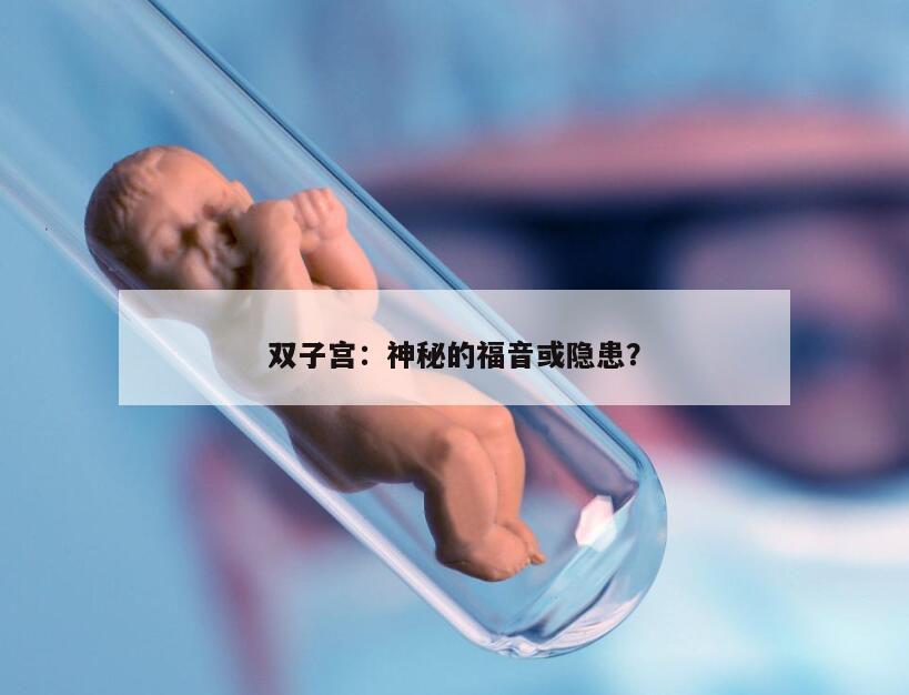 双子宫：神秘的福音或隐患？