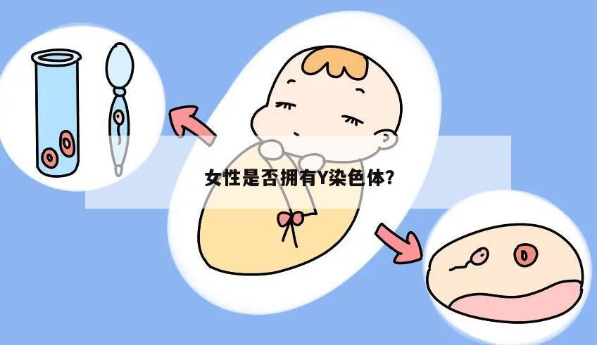 女性是否拥有Y染色体？