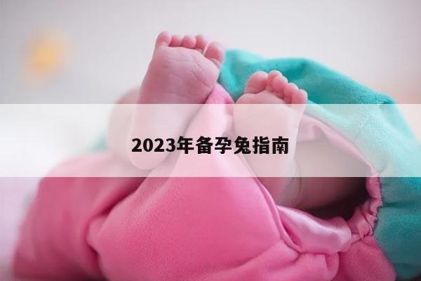 2023年备孕兔指南