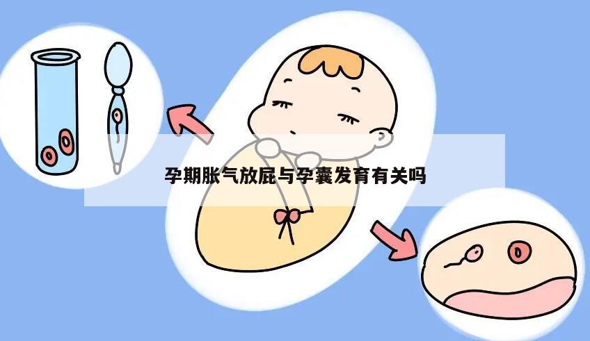 孕期胀气放屁与孕囊发育有关吗