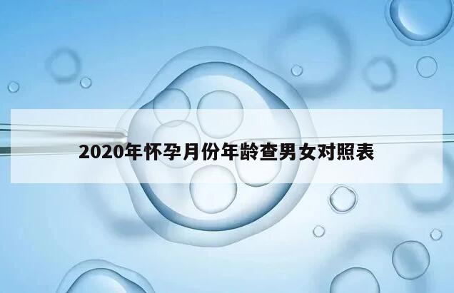 2020年怀孕月份年龄查男女对照表