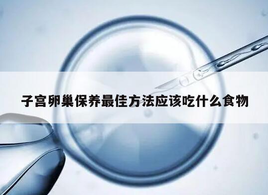 子宫卵巢保养最佳方法应该吃什么食物