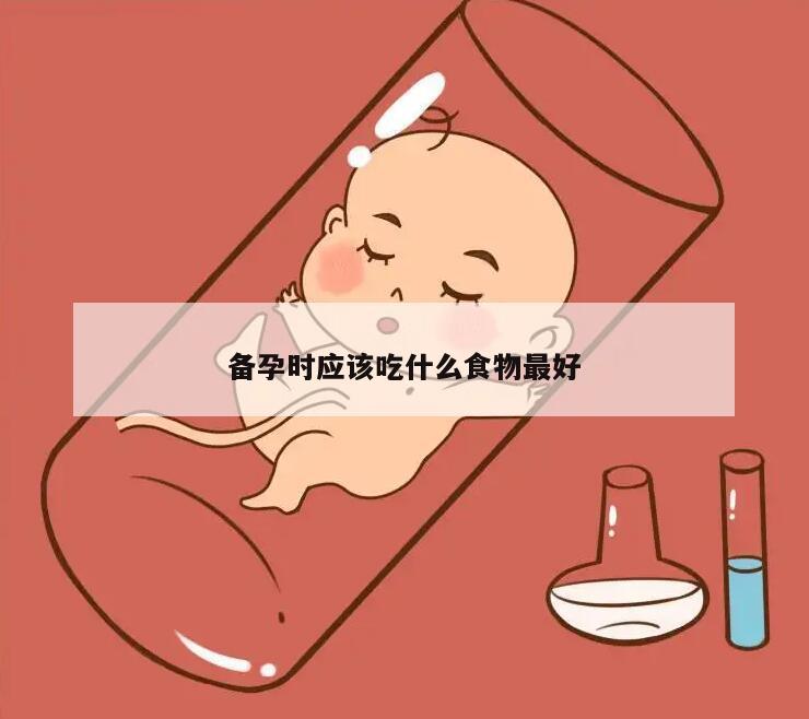 备孕时应该吃什么食物最好